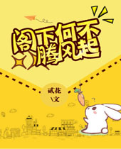 阁下何不腾飞起TXT全集封面