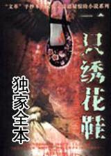 一只绣花鞋TXT全集封面