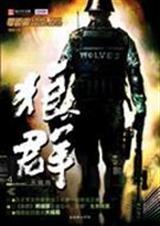 狼群ivTXT全集封面