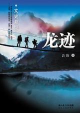 龙迹TXT全集封面