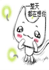 至尊的恩宠TXT全集封面