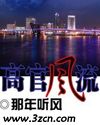 高官风流TXT全集封面