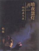 暗夜慧灯TXT全集封面