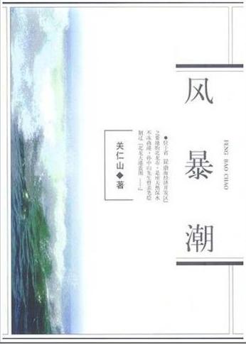 风暴潮TXT全集封面