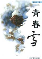 青春雪TXT全集封面