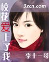校花爱上了我TXT全集封面