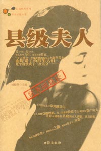 县级夫人TXT全集封面