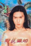 野龙猎婚TXT全集封面