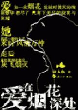 爱在烟花深处TXT全集封面