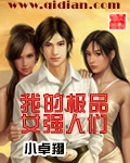 我的极品女强人们TXT全集封面