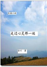 走过心灵那一端TXT全集封面