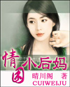 情困小后妈TXT全集封面