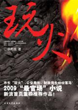 官场小人物的拼搏史玩火TXT全集封面