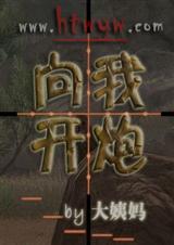 向我开炮TXT全集封面