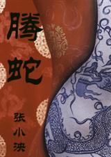 螣蛇TXT全集封面