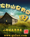 农妇山泉有点田TXT全集封面