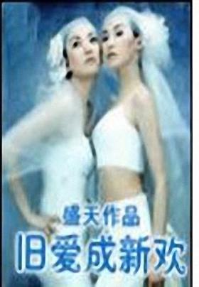 旧爱成新欢TXT全集封面